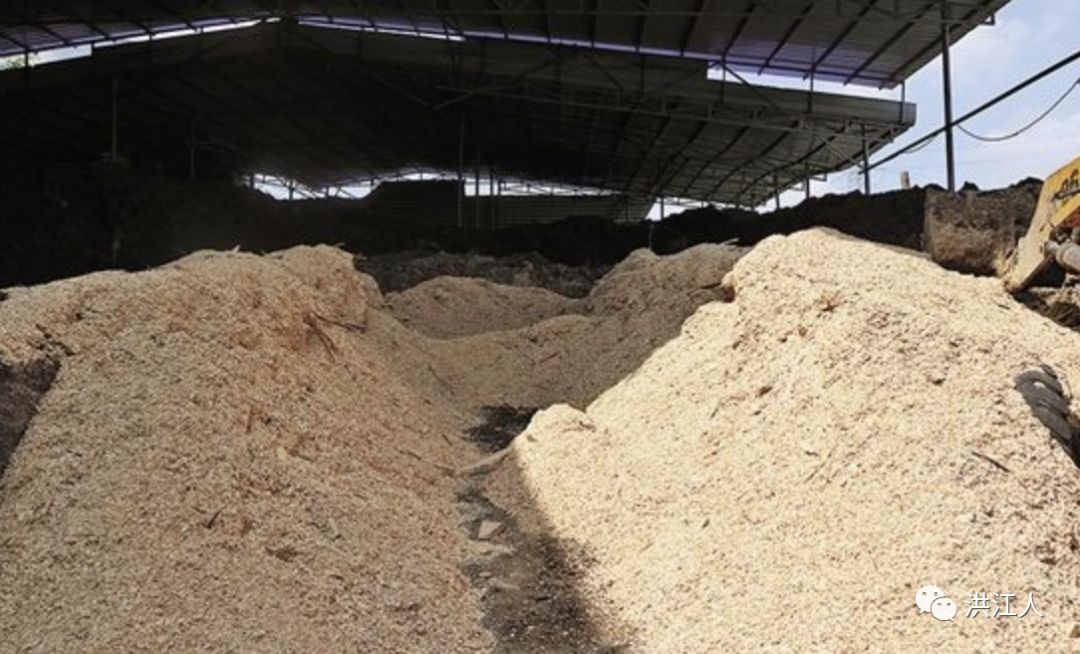 辙印深深“拖糠壳”，一代洪江人的回忆