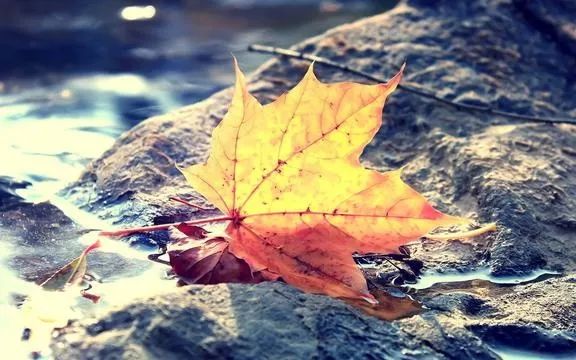 7个细节告诉你身边谁最可靠,八个细节告诉你身边的人谁最靠谱