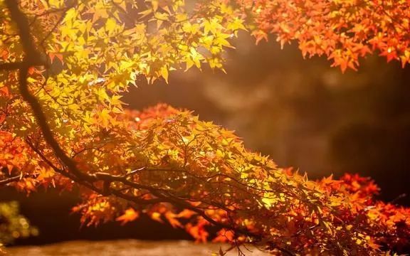 7个细节告诉你身边谁最可靠,八个细节告诉你身边的人谁最靠谱