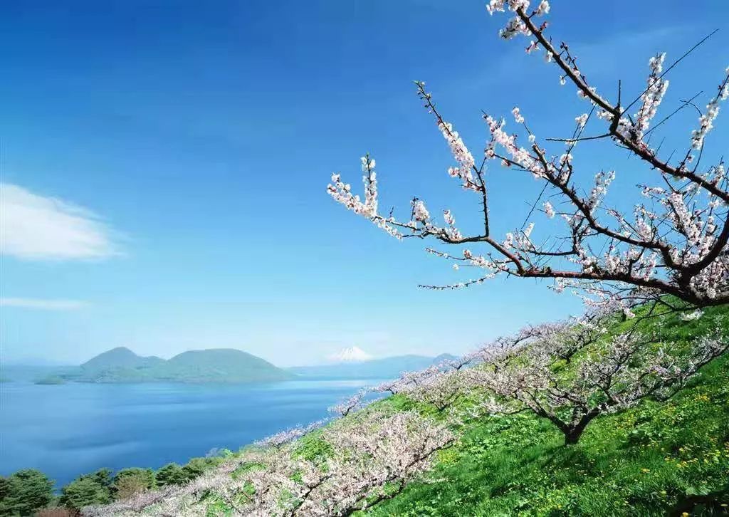 7个细节告诉你身边谁最可靠,八个细节告诉你身边的人谁最靠谱