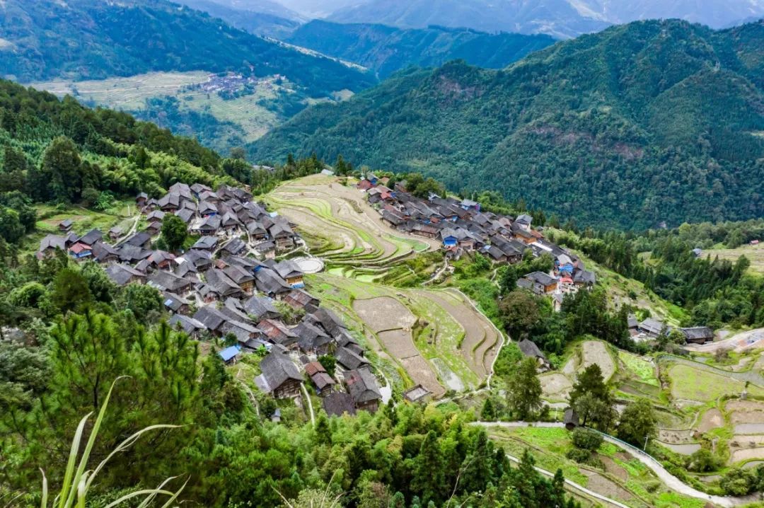 探秘湖光岩发现水怪之谜下集,中国三都水族