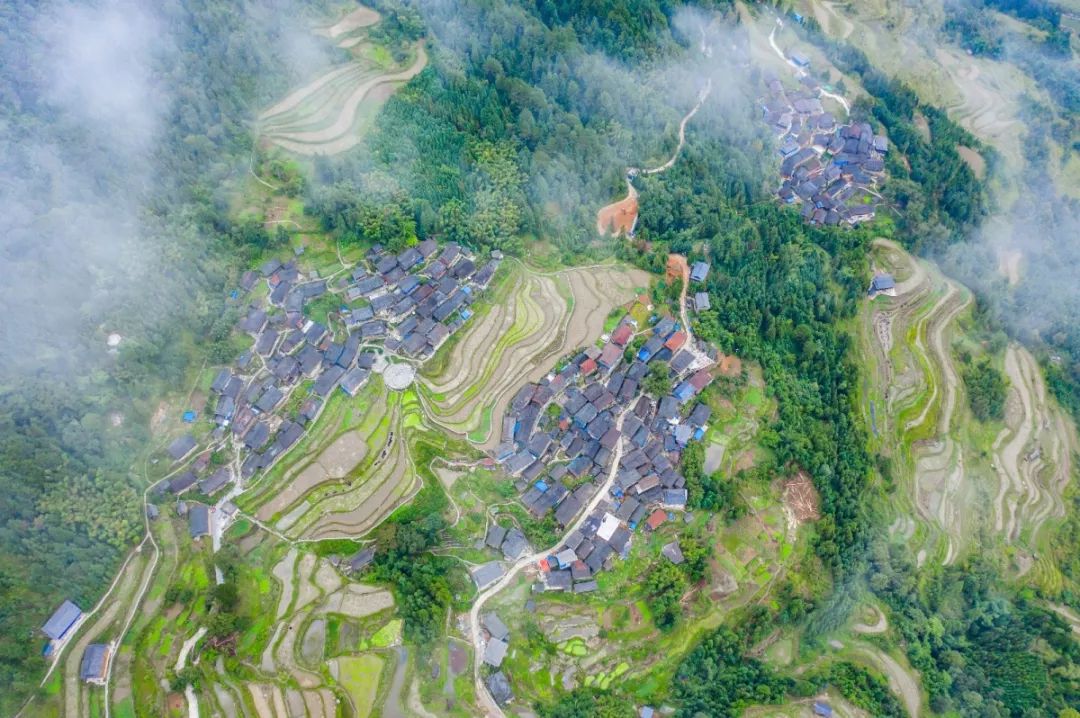 探秘湖光岩发现水怪之谜下集,中国三都水族