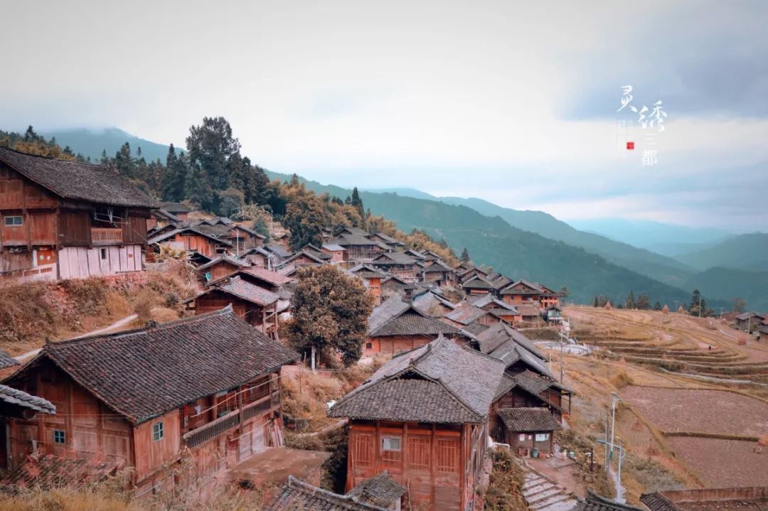 探秘湖光岩发现水怪之谜下集,中国三都水族