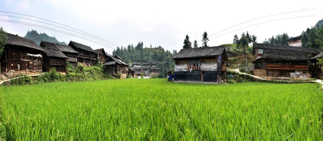 探秘湖光岩发现水怪之谜下集,中国三都水族