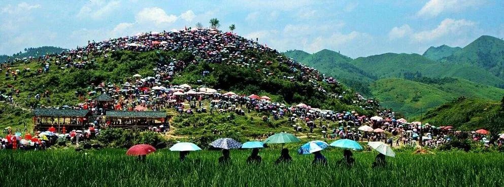 探秘湖光岩发现水怪之谜下集,中国三都水族