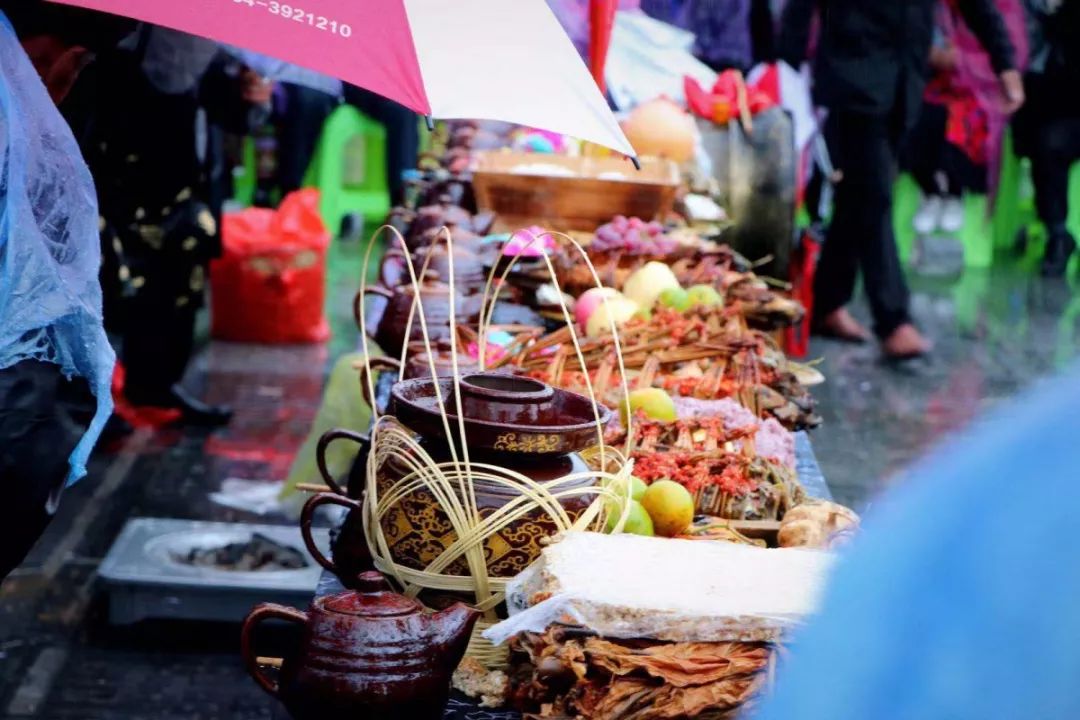 探秘湖光岩发现水怪之谜下集,中国三都水族