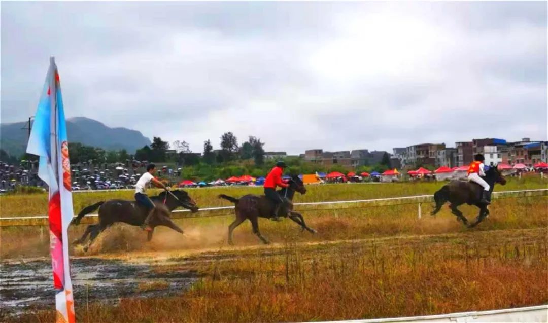 探秘湖光岩发现水怪之谜下集,中国三都水族