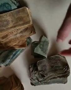 河南孕妇自然受孕生下四胞胎,河南一孕妇意外产子