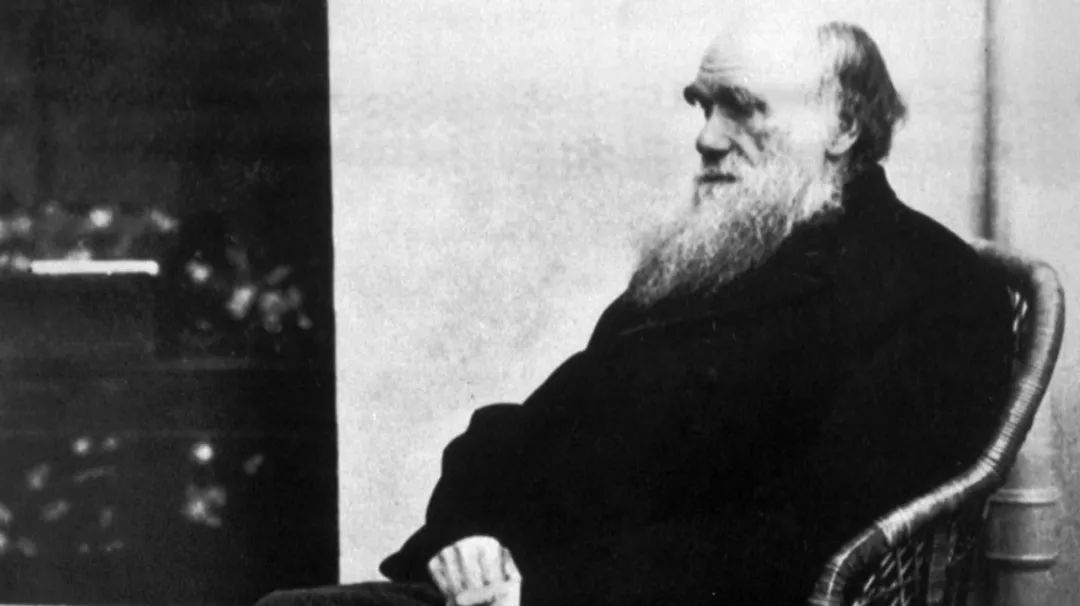 如何证明神的存在新闻,如何证明神的存在老高