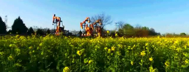 长庆油田连续六年稳产5000万吨,长庆油田产量突破6000万吨