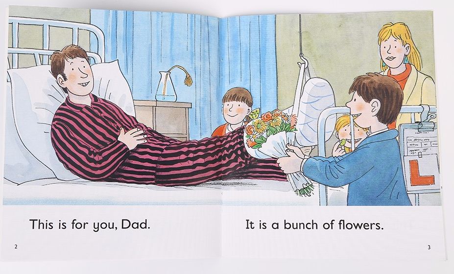 入门牛津树拓展阅读启蒙,牛津阅读树拓展阅读一阶精讲