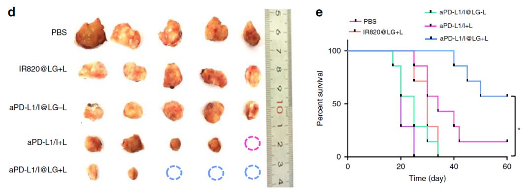 如何把冷肿瘤变成热肿瘤,肿瘤热疗新趋势热死肿瘤不伤身