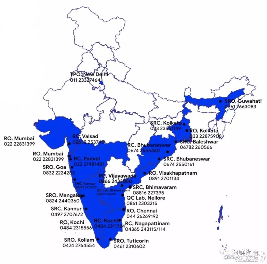 中国成国际白虾厂商必争之地!目前至春节,预计白虾还将存在严重供货缺口