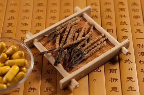 虫草洋参胶囊功效和主治是什么,虫草胶囊和虫草区别