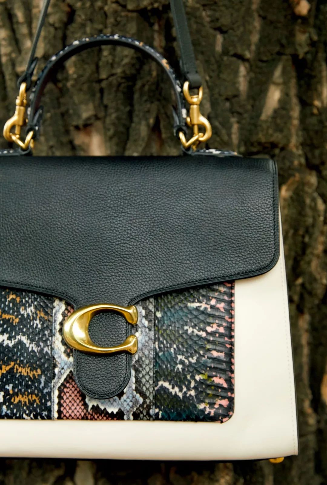 嘉人2019十月刊,2020嘉人百大赏