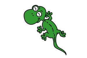 壁虎咬壁虎怎么回事,为什么壁虎咬人有毒