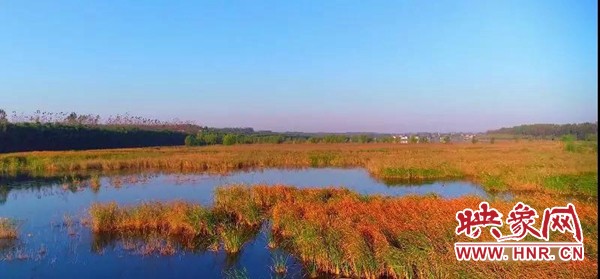 新乡市平原示范区的最新消息,郑北平原示范区