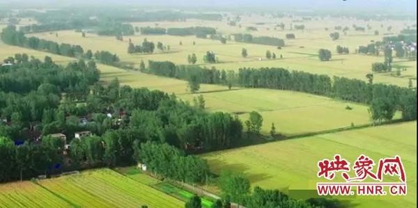 新乡市平原示范区的最新消息,郑北平原示范区