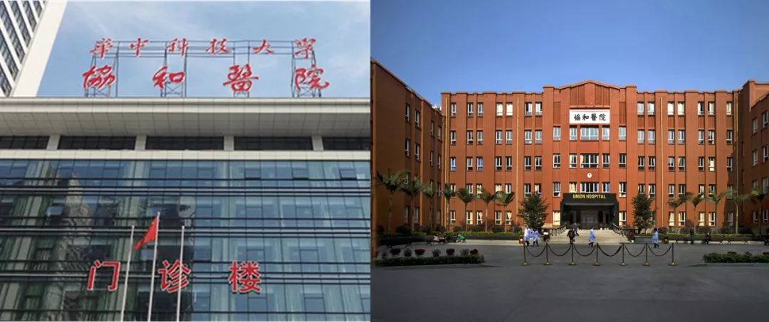 协和维e乳是不是正品,协和维e乳现状