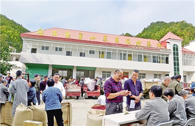 传承中医精华守正创新,传承精华守正创新弘扬中医药文化