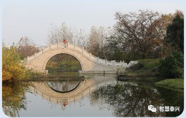 泰兴50个项目,泰兴2024重大工业项目一览表