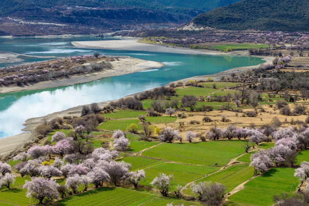 甘南藏族自治州:追赶着花香,不再是寂寞的高原