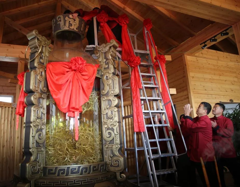 柳河云岭野山参酒,30年野山参酒