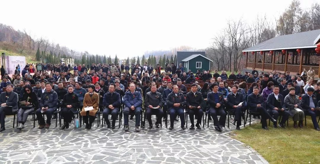 柳河云岭野山参酒,30年野山参酒