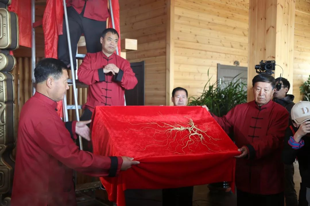 柳河云岭野山参酒,30年野山参酒