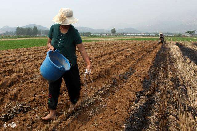农民检查化肥含量收费吗,农民怀疑化肥质量有问题怎么办