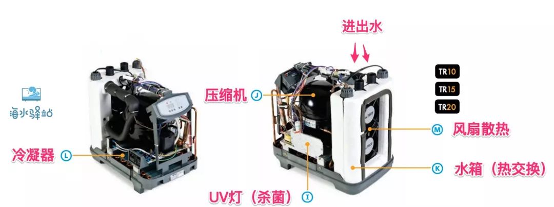 鱼缸用什么样的冷水机比较好,海水鱼缸冷水机哪个牌子的好