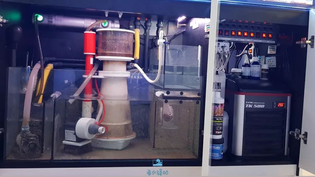 鱼缸用什么样的冷水机比较好,海水鱼缸冷水机哪个牌子的好