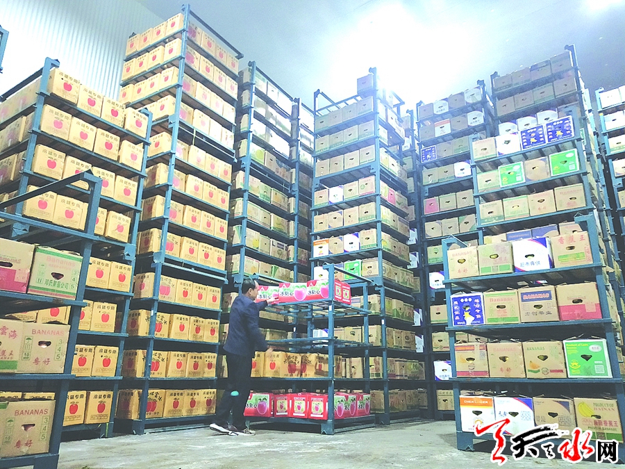 武山建设,武山县发展