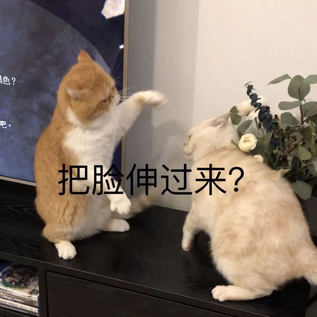 宠物大比拼螃蟹,宠物种类大比拼