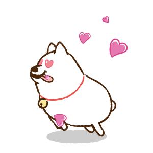 昭通招聘441人,招聘156人