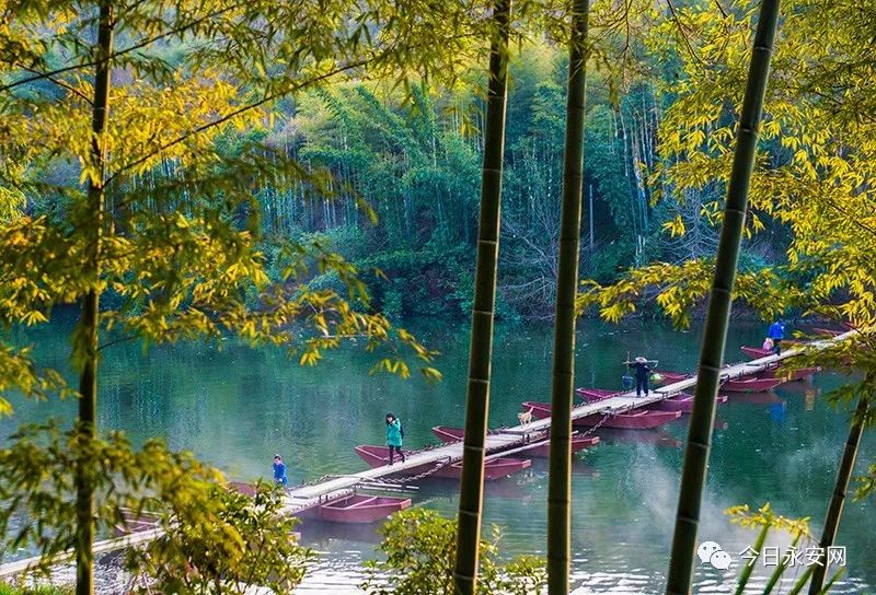 下个月，这场赛事将在永安举行！吃住行攻略附上