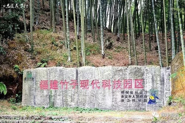 下个月，这场赛事将在永安举行！吃住行攻略附上