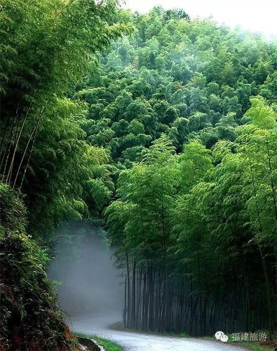 下个月，这场赛事将在永安举行！吃住行攻略附上