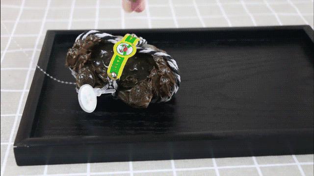 阳澄湖大闸蟹几月份最好吃最美味,吃阳澄湖大闸蟹的快乐季节