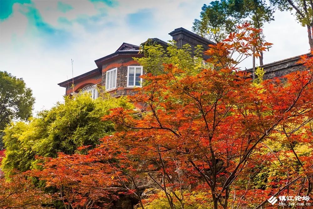 过年去镇江一日游去哪里好,镇江过年去哪儿旅游合适
