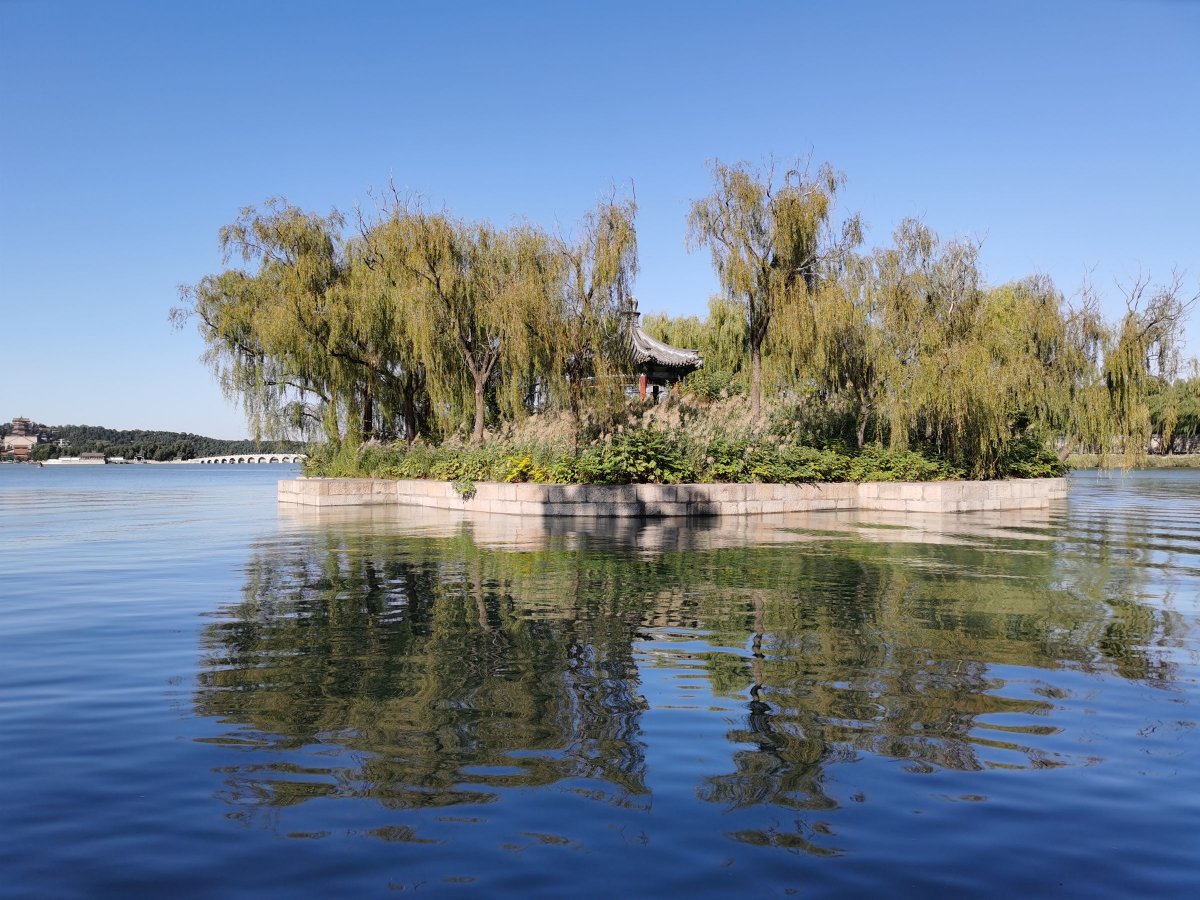 华为mate30pro前摄像头近拍,华为mate30pro前摄像头拍照效果