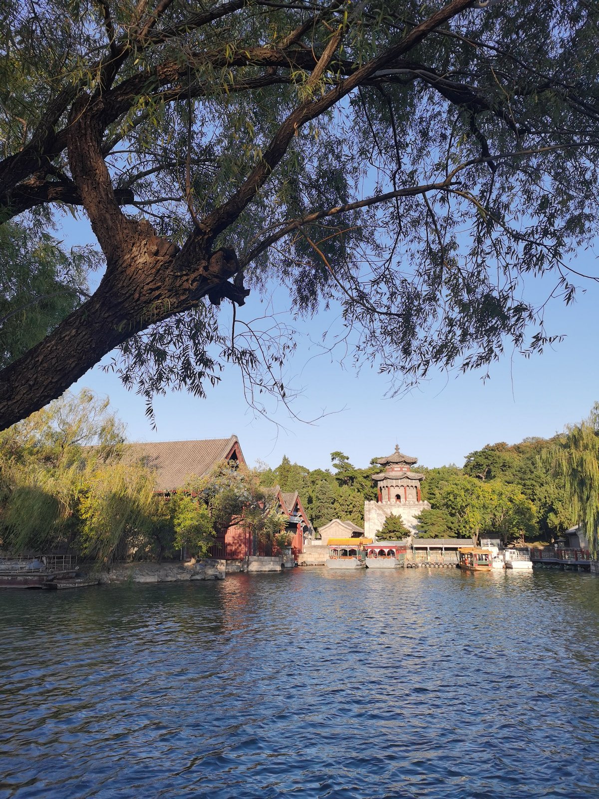 华为mate30pro前摄像头近拍,华为mate30pro前摄像头拍照效果