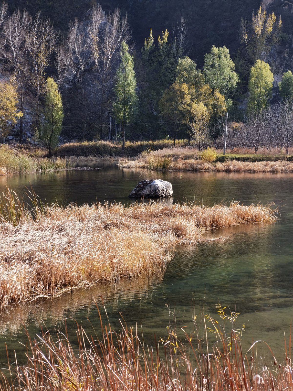 华为mate30pro前摄像头近拍,华为mate30pro前摄像头拍照效果