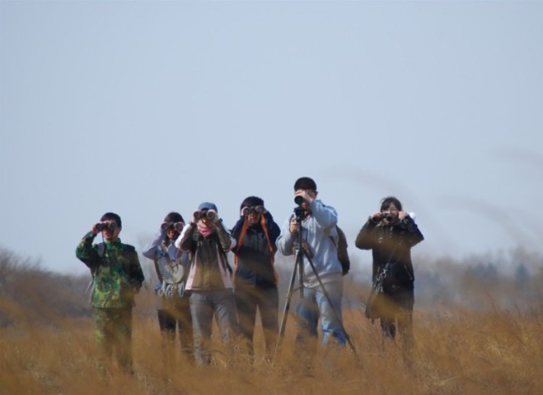 我的野保坑是这样填出来的：打豆豆，就酱