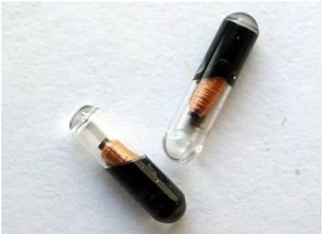 我的野保坑是这样填出来的：打豆豆，就酱