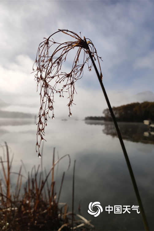 神农架雾蒙蒙,湖北神农架冬日云海浩瀚