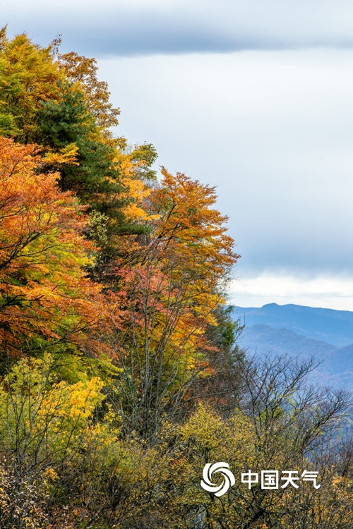 神农架雾蒙蒙,湖北神农架冬日云海浩瀚