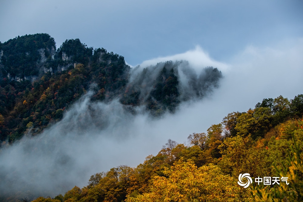 神农架雾蒙蒙,湖北神农架冬日云海浩瀚