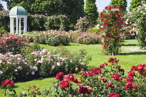 去泰国旅游一定要知道的几件事,去泰国玩必须要知道的事情