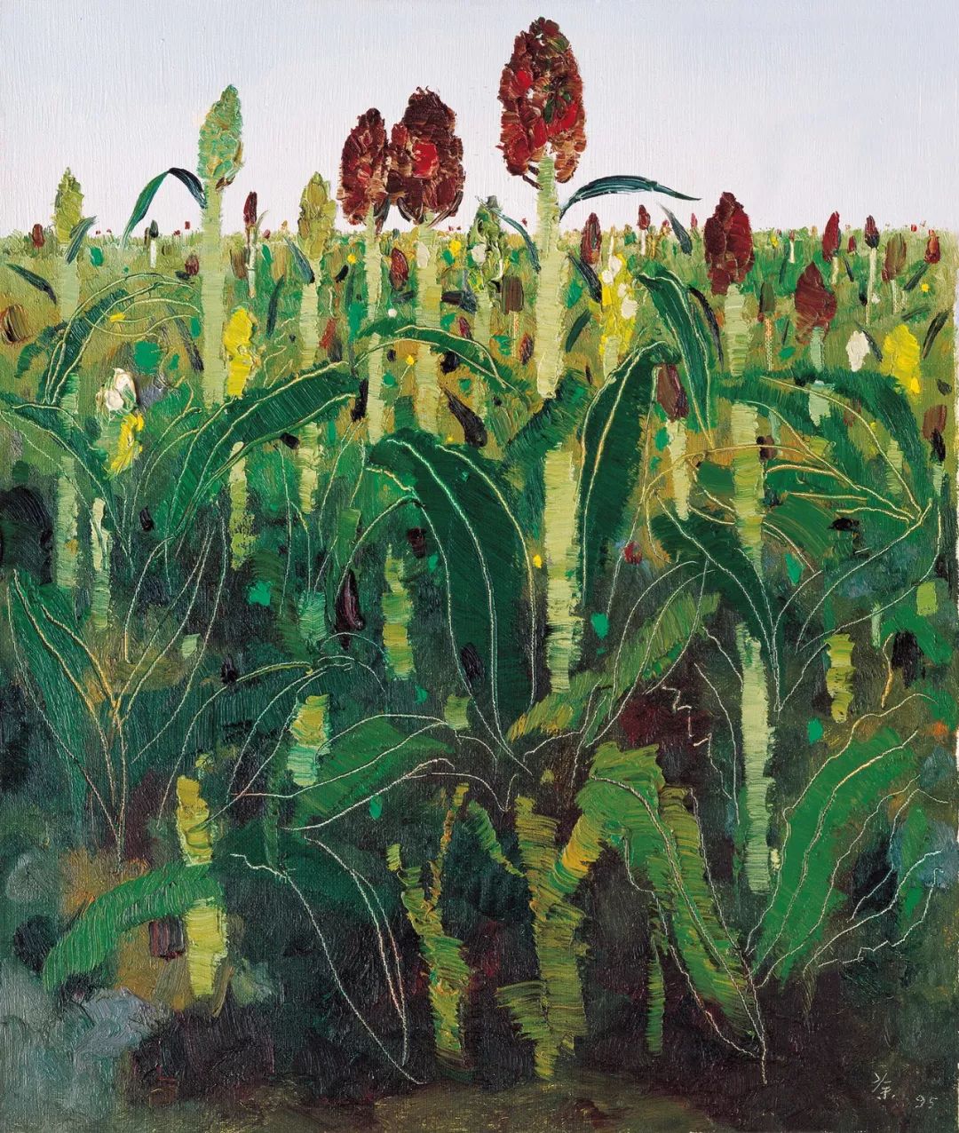 云朗读李雨霏,云朗读